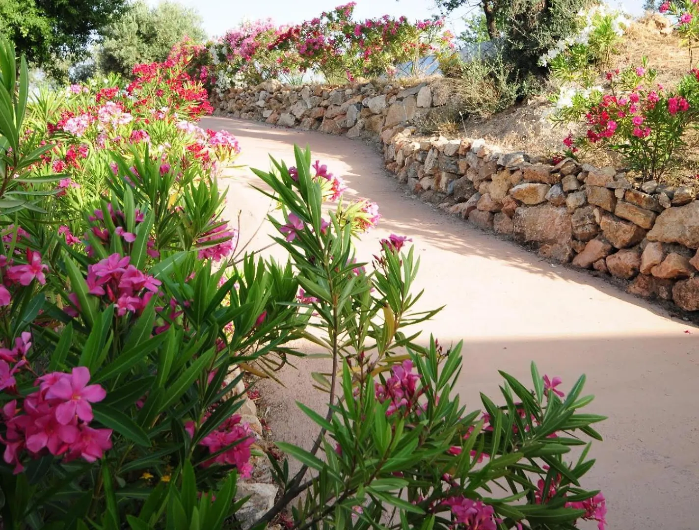 La Fuente Retreat Hotel Lecrin